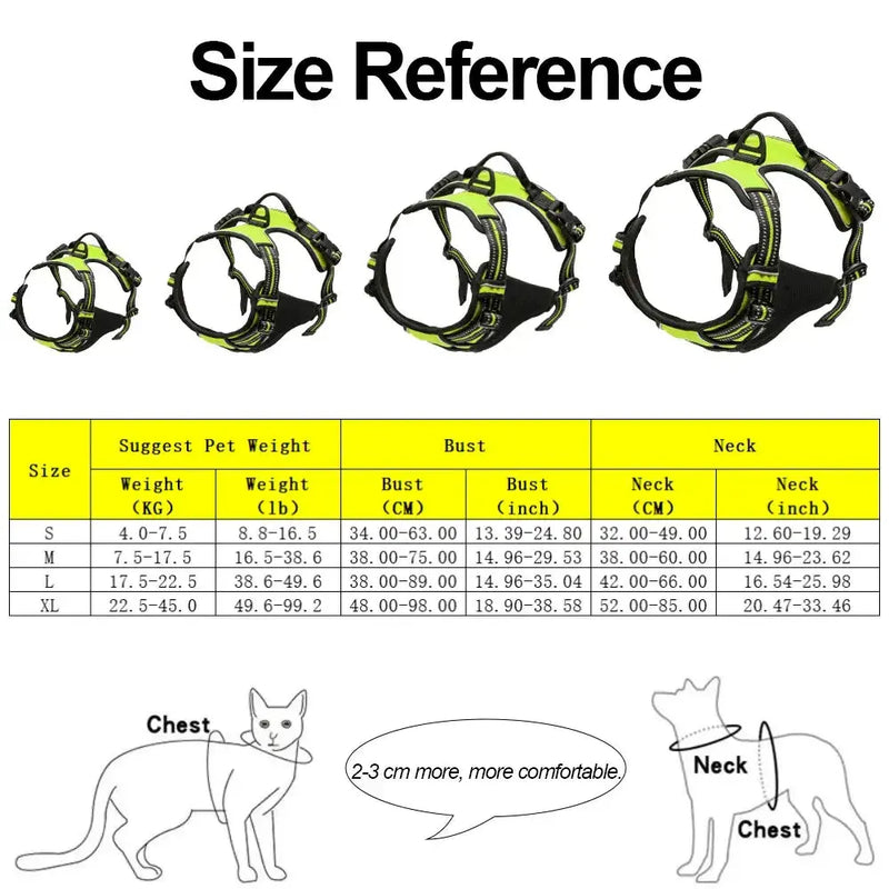 Large Dog Handle Leash - Puck's
