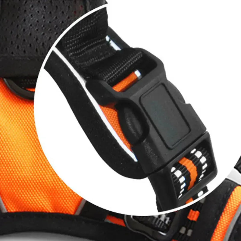 Large Dog Handle Leash - Puck's