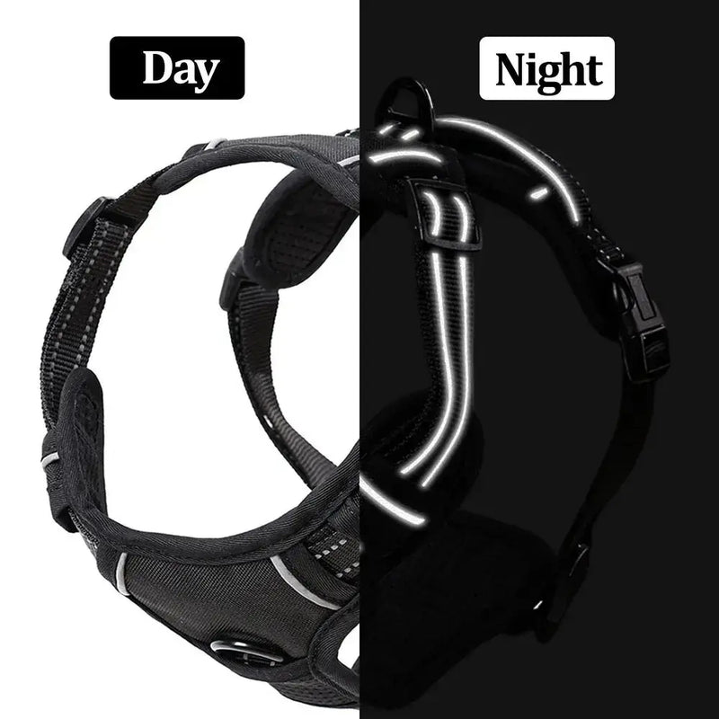 Large Dog Handle Leash - Puck's