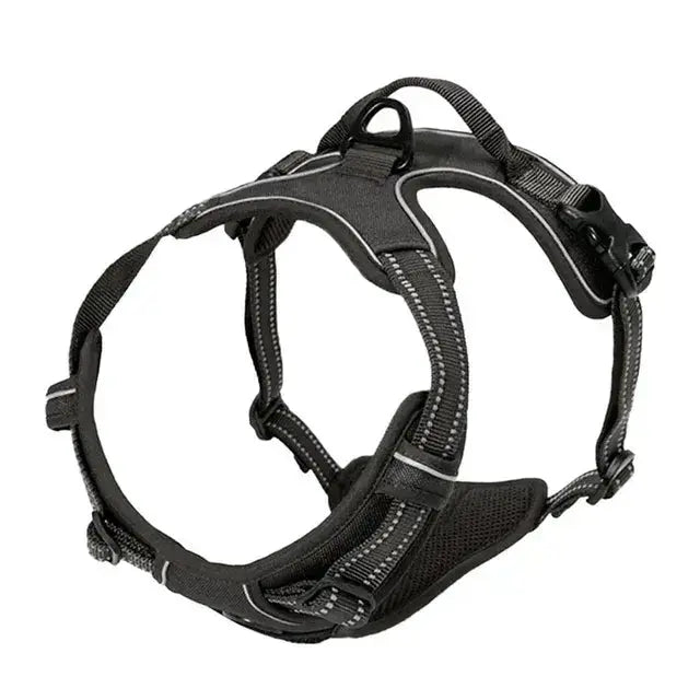 Large Dog Handle Leash - Puck's