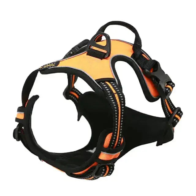 Large Dog Handle Leash - Puck's