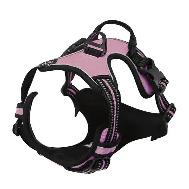 Large Dog Handle Leash - Puck's