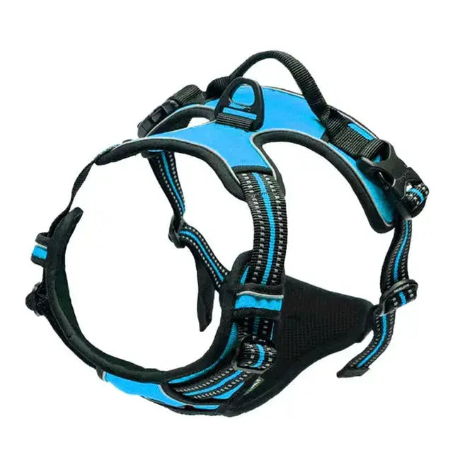 Large Dog Handle Leash - Puck's