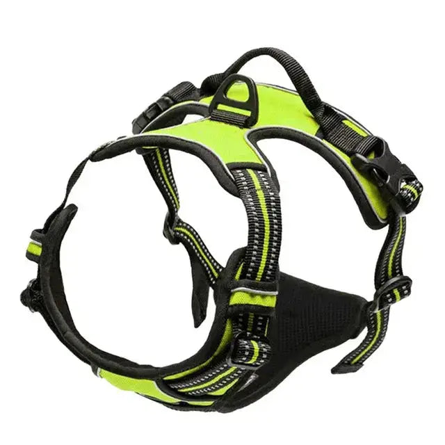 Large Dog Handle Leash - Puck's