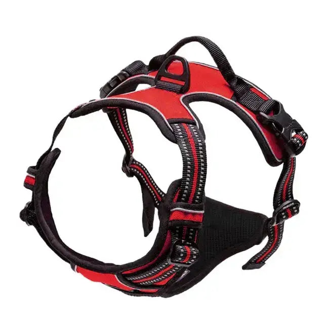 Large Dog Handle Leash - Puck's