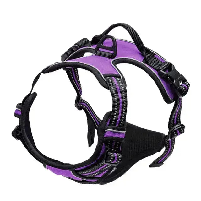 Large Dog Handle Leash - Puck's