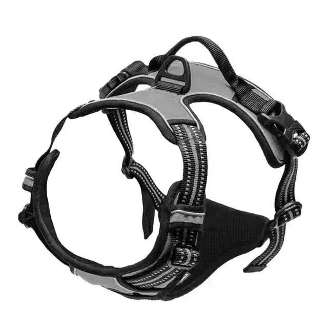 Large Dog Handle Leash - Puck's