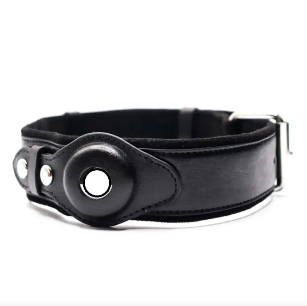 Leather Dog Collar with Location Tracker - Puck's
