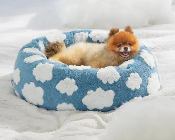 Lesure Beds For Indoor Cats - Puck's