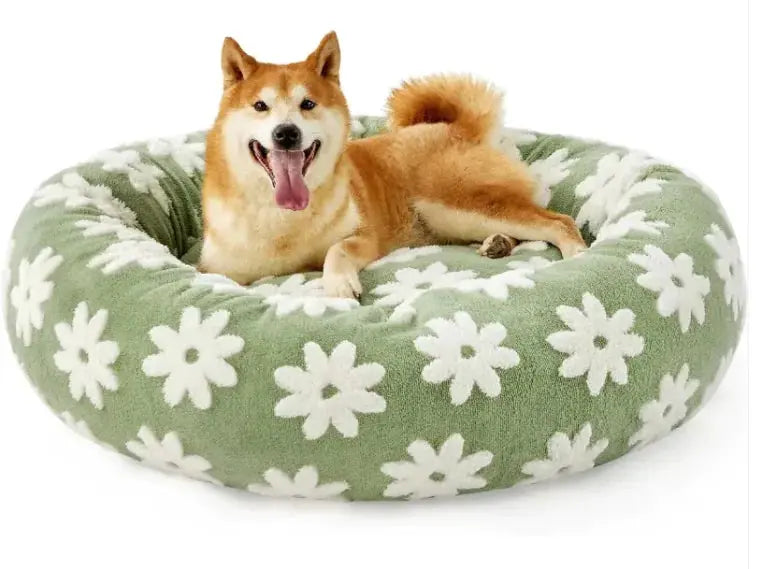 Lesure Beds For Indoor Cats - Puck's