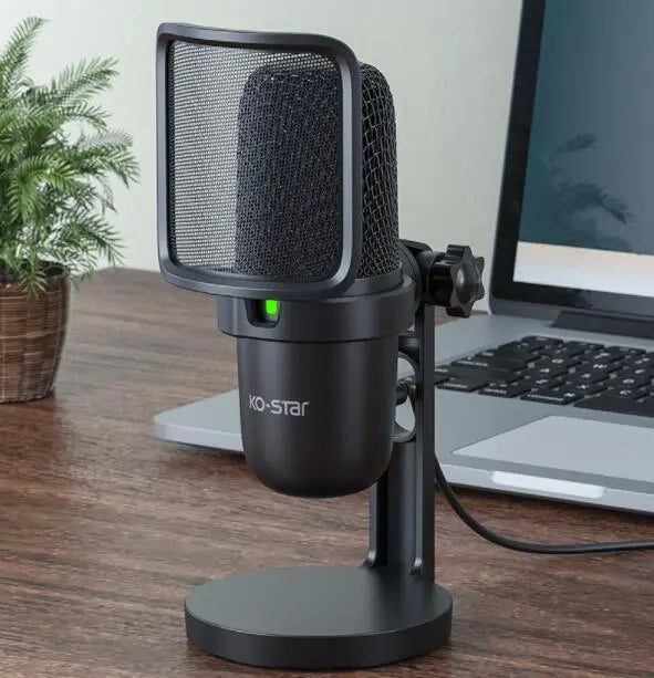 Notebook Computer Game Voice Live Broadcast USB Microphone - Puck's