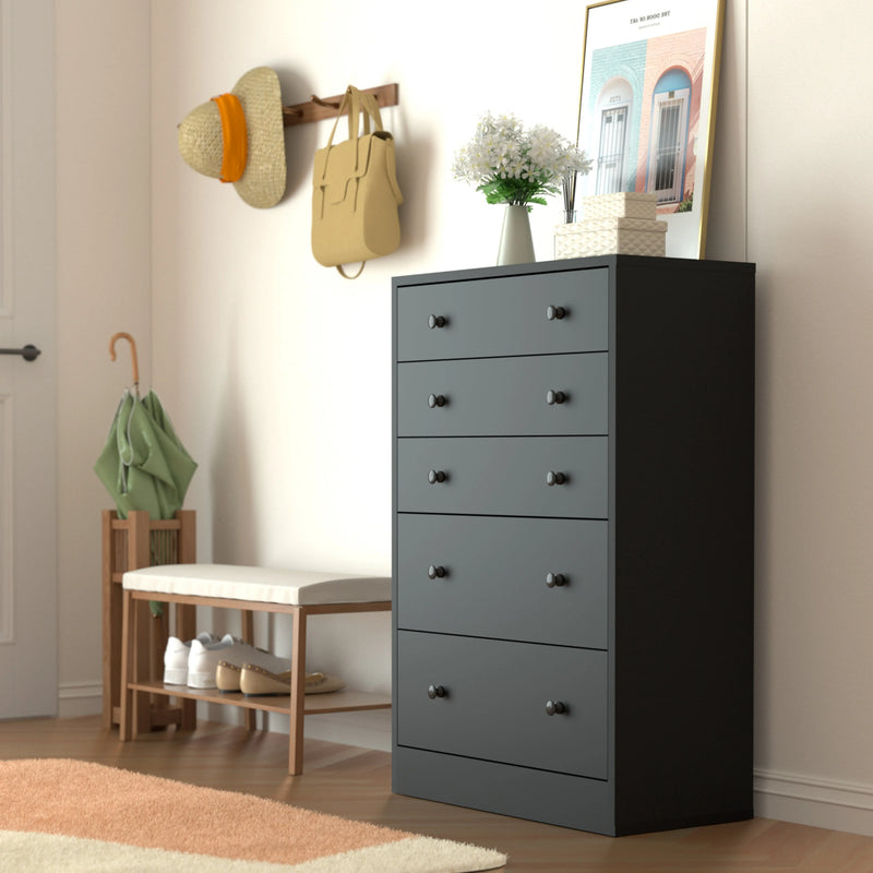 Grote ladekast met 5 laden, houten ladekast voor slaapkamer, zwart - Puck's