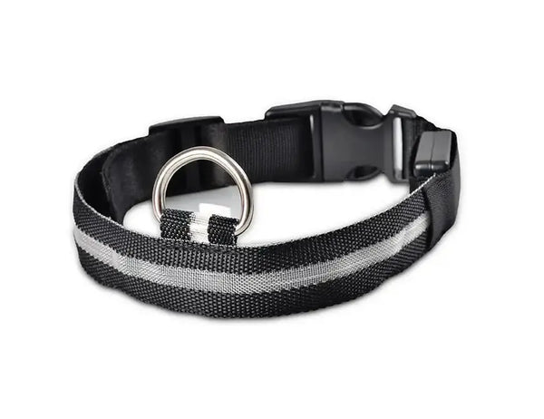 Pet Led Collar - Puck's
