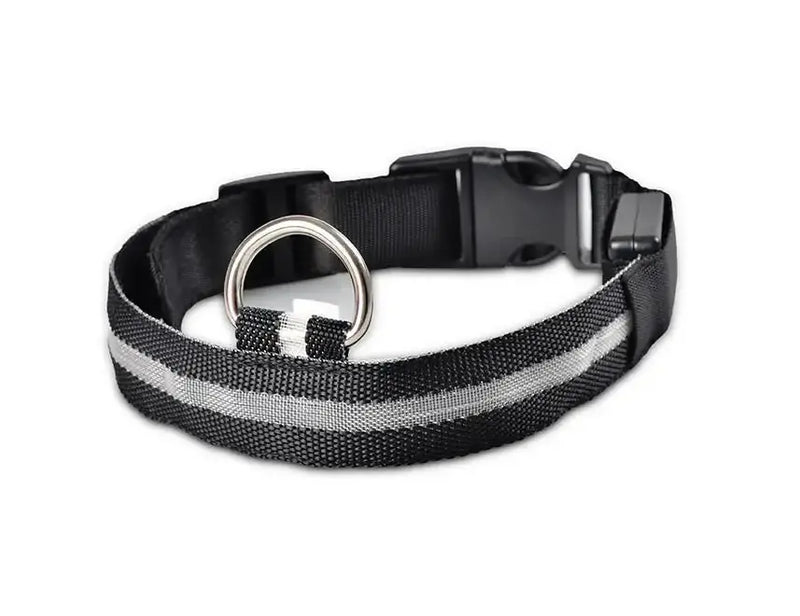 Pet Led Collar - Puck's