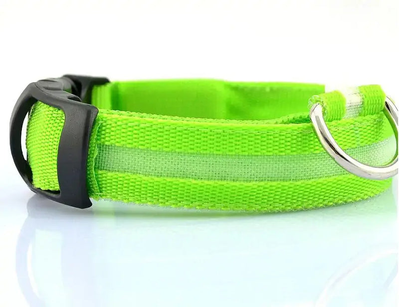 Pet Led Collar - Puck's