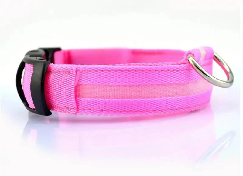 Pet Led Collar - Puck's