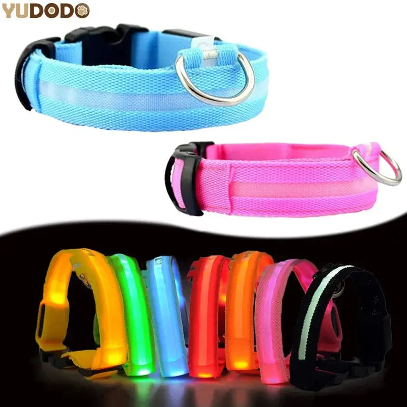 Pet Led Collar - Puck's