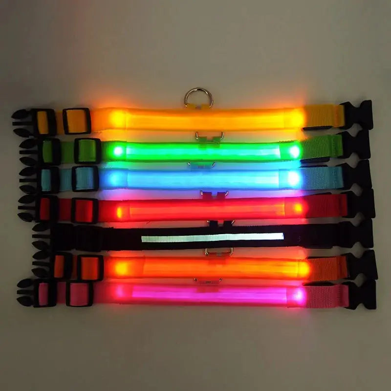 Pet Led Collar - Puck's