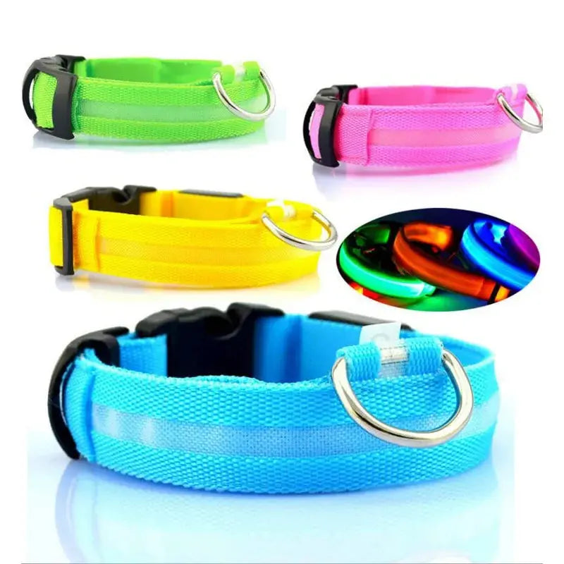Pet Led Collar - Puck's