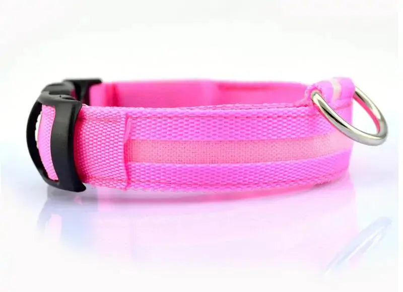 Pet Led Collar - Puck's