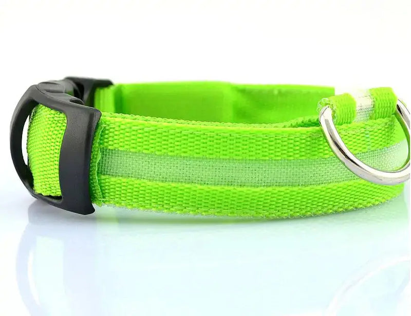 Pet Led Collar - Puck's