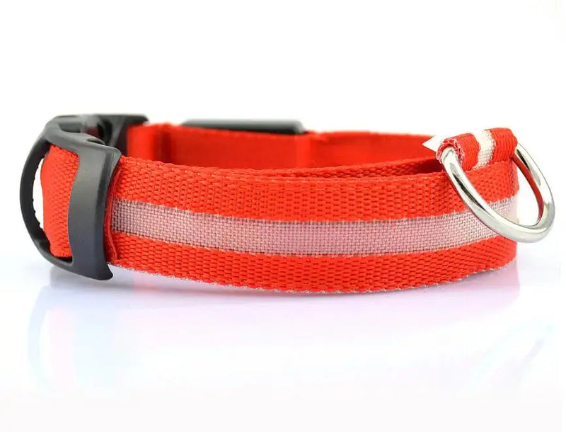 Pet Led Collar - Puck's