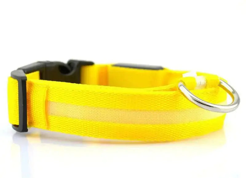 Pet Led Collar - Puck's