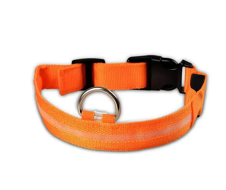 Pet Led Collar - Puck's