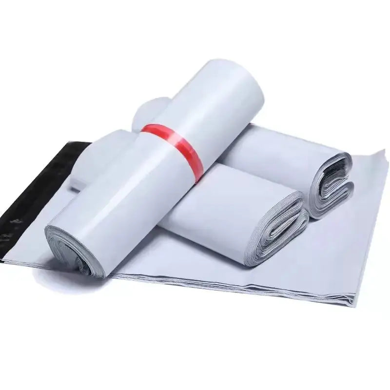 Plastic Express Envelope Storage Bags - Puck's