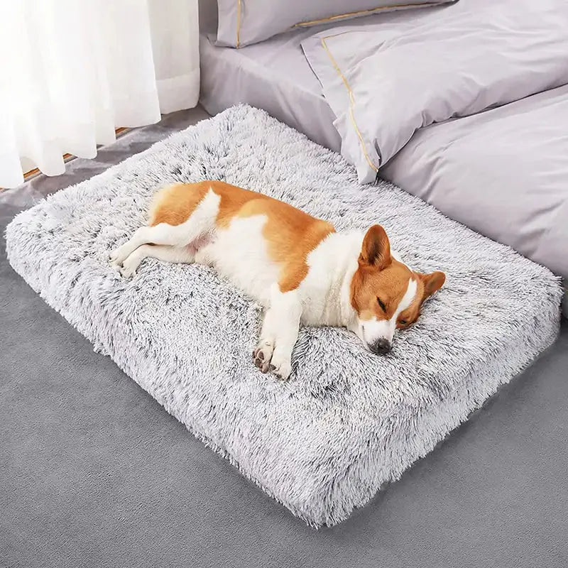 Plush Washable Dog Bed - Puck's
