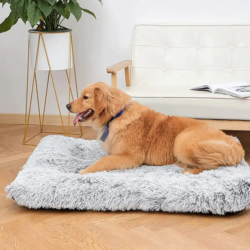 Plush Washable Dog Bed - Puck's