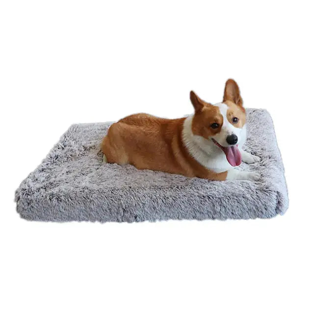 Plush Washable Dog Bed - Puck's