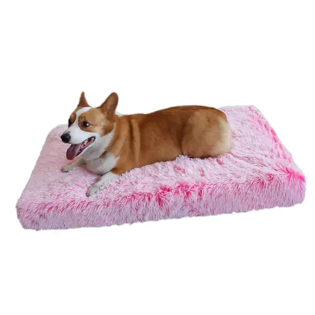Plush Washable Dog Bed - Puck's