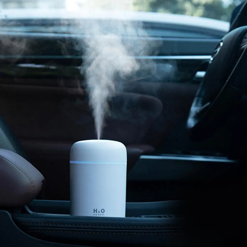 Portable Air Humidifier Aroma Essential Oil Diffuser for Car Home - Puck's