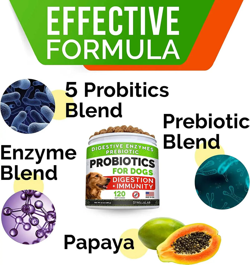 Probiotics Chews for Dogs & Digestive Enzymes + Digestion & Gut Health Treats, Probiotics for Dogs, Fiber Supplement, anti Diarrhea, Constipation, Upset Stomach&Gas Relief,Canine Prebiotic - Puck's