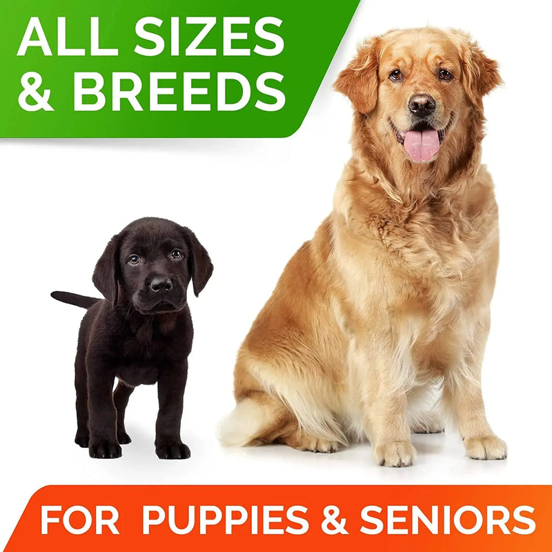 Probiotics Chews for Dogs & Digestive Enzymes + Digestion & Gut Health Treats, Probiotics for Dogs, Fiber Supplement, anti Diarrhea, Constipation, Upset Stomach&Gas Relief,Canine Prebiotic - Puck's