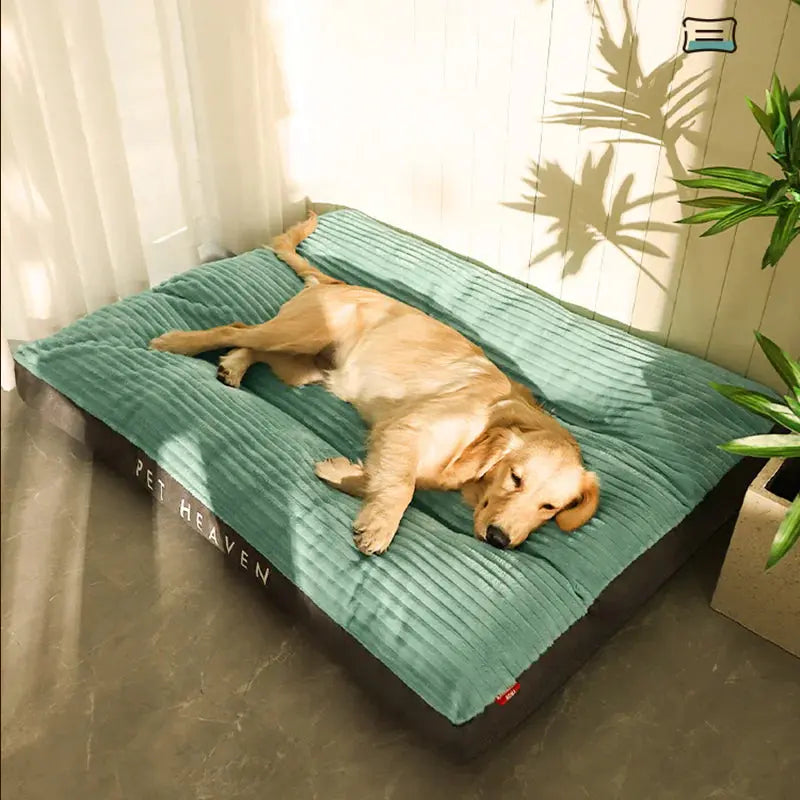 PurrClean Washable Pet Bed - Puck's