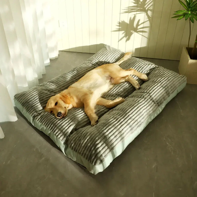 PurrClean Washable Pet Bed - Puck's