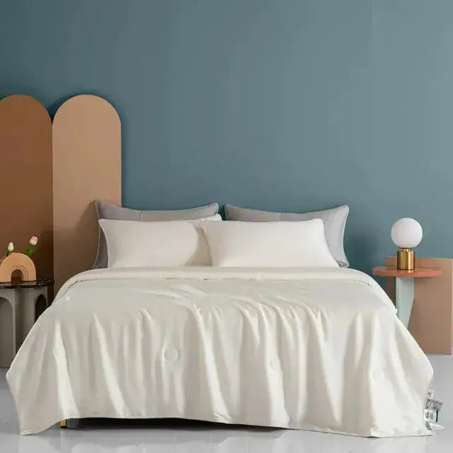 Smooth Air Condition Comforter Blankets - Puck's