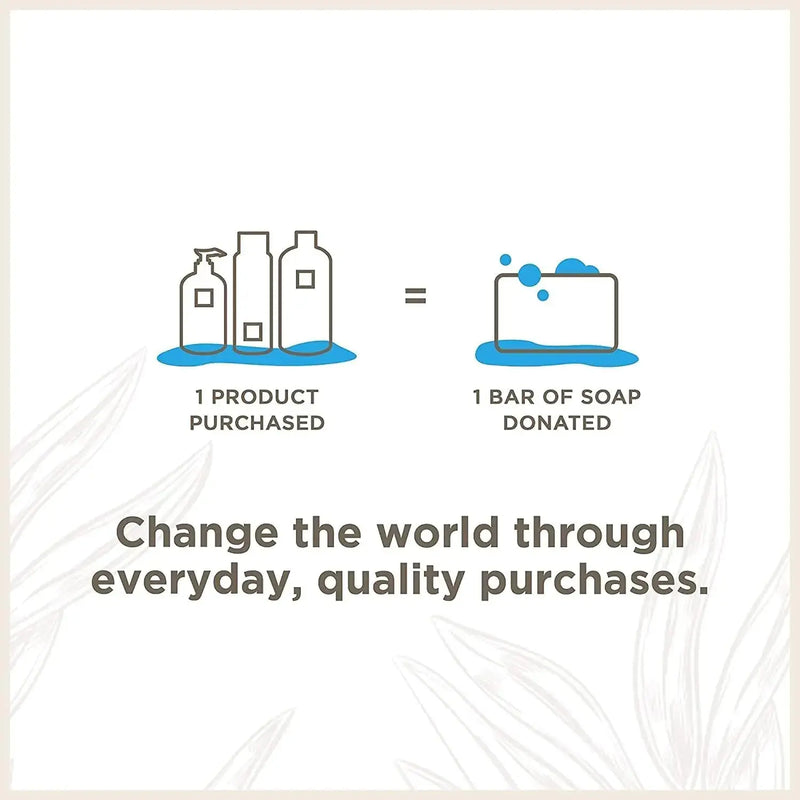 Soapbox Liquid Hand Soap, Coconut Milk & Sandalwood, Gentle & Moisturizing Hand Wash for Kitchen and Bathroom, Vegan & Cruelty Free Scented Hand Soap 12 Ounce Pump Bottles (Pack of 3) 12 Fl Oz (Pack of 3) - Puck's