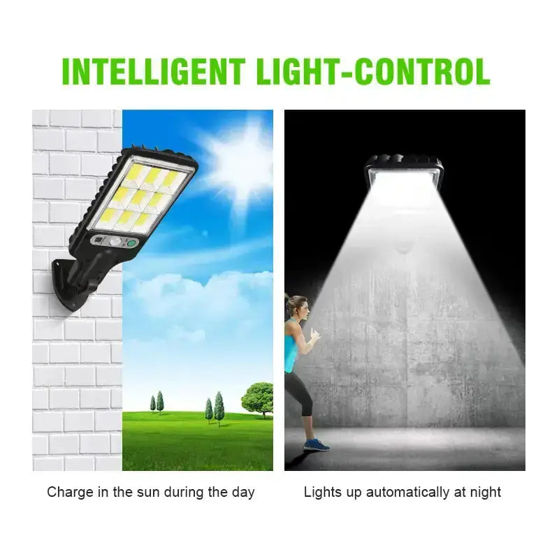 Solar-Powered Street Lighting Solution - Puck's