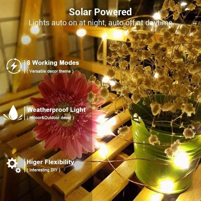 Solar Powered String Lights Indoor Outdoor Waterproof For Gardens Home - Puck's