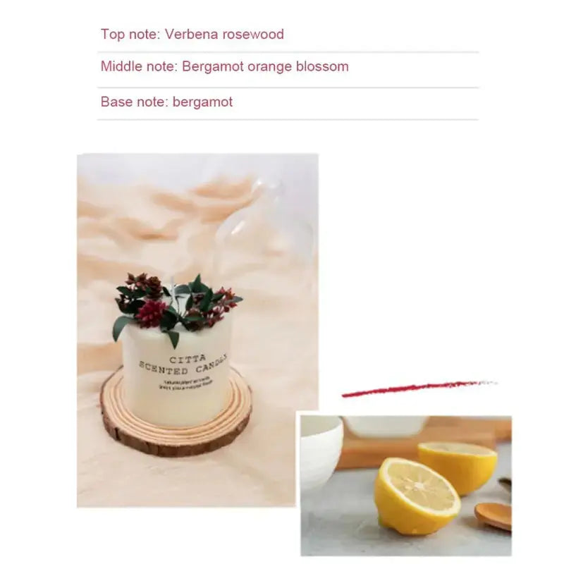 Soy Wax Fragrance Candles - Puck's