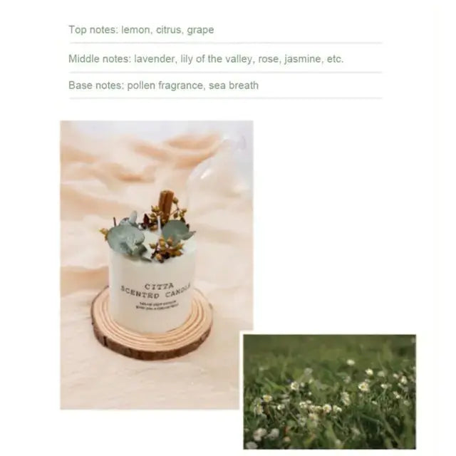 Soy Wax Fragrance Candles - Puck's