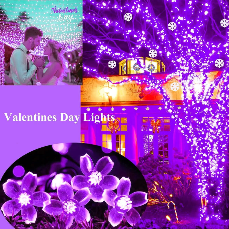 String Lights, Purple Lights Valentines Day Decorations Flower String Lights 33 Feet 100LED 8 Modes Wedding Party Indoor Outdoor Flower Lights Bedroom Birthday Room Decor (Purple) - Puck's