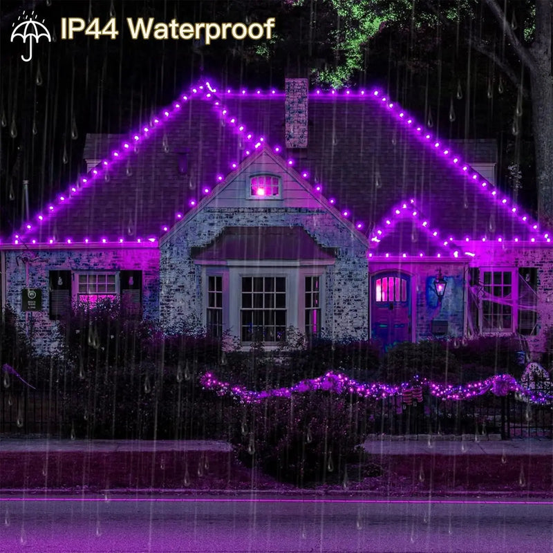 String Lights, Purple Lights Valentines Day Decorations Flower String Lights 33 Feet 100LED 8 Modes Wedding Party Indoor Outdoor Flower Lights Bedroom Birthday Room Decor (Purple) - Puck's