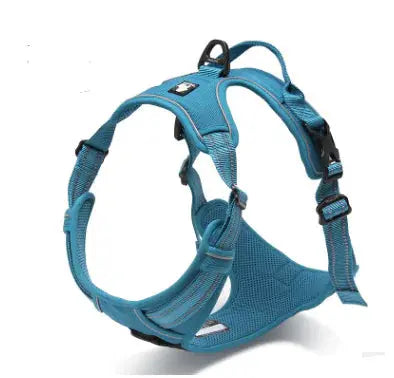 Truelove Adjustable Reflective Nylon Dog Harness - Puck's