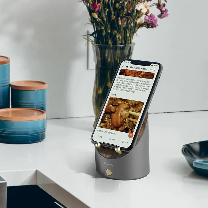Wooden Speaker Smart Induction Speaker Phone Holder - Puck's