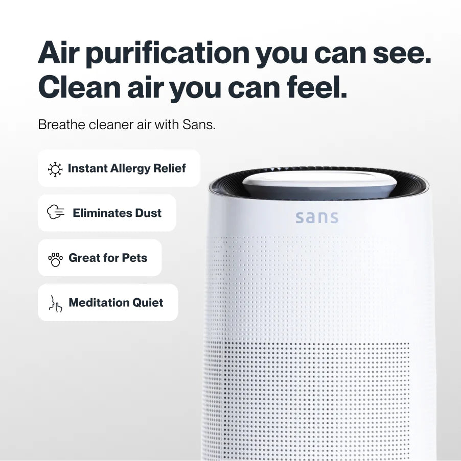 Air Purifier - Puck's
