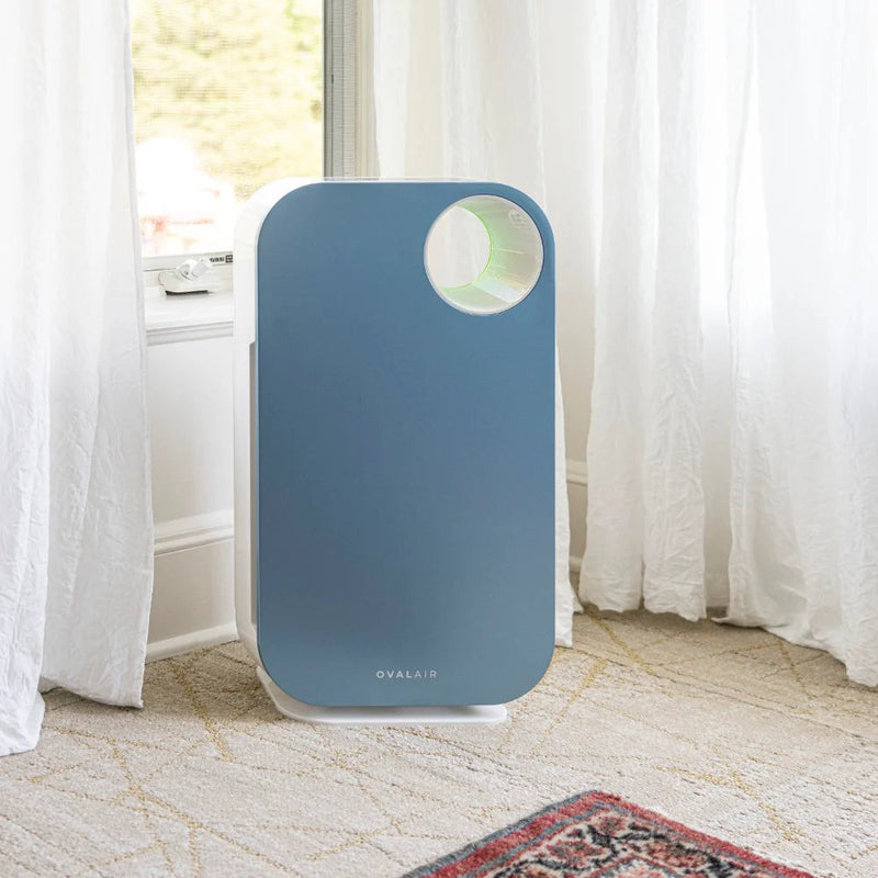 Oval Air Purifier - Puck's